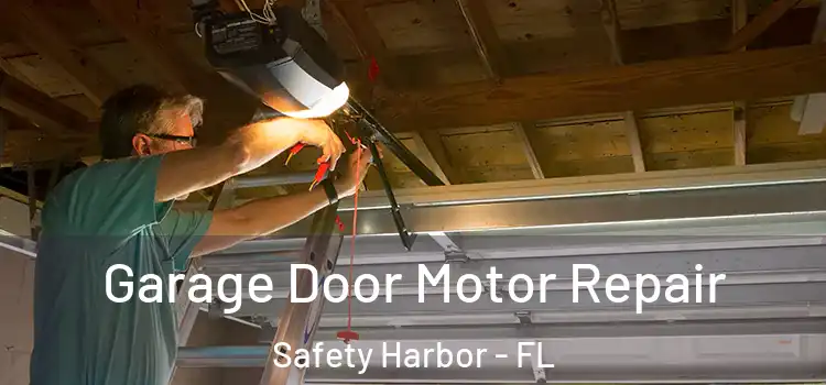  Garage Door Motor Repair Safety Harbor - FL