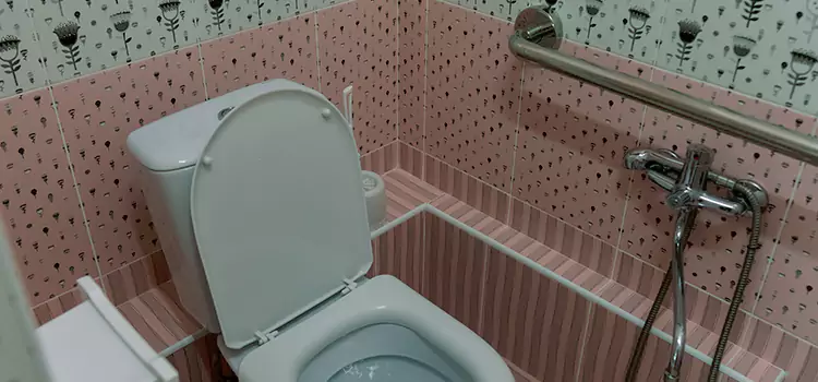 Meeting Diverse Needs With Accessible Restroom Solutions in Safety Harbor, FL